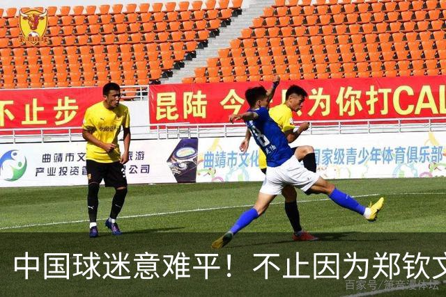 中国球迷意难平！不止因为郑钦文1-2出局，更多在于以下五点！